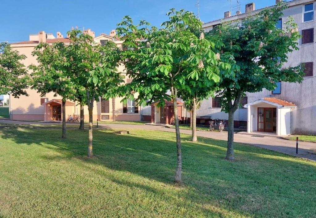 Apartment Stefan 1 Umag